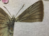 4A55125B-9DBC-40A4-AAE9-4F85715532ED.png