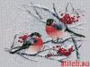 55754.thumb.jpg.ea070005ed308a2b4519df8866ce936a.jpg