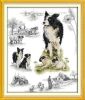 Anchor 929, Border Collie Sampler