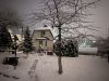 71809E88-A6AB-4BD7-8101-829D46549DB9.thumb.jpeg.5368576b354748fd15fc75d44b8d3234.jpeg