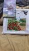 7C3B59B6-D89B-46E1-8CA4-87D9583FAC2B.thumb.jpeg.5d57979a15ace447eee586181f60f724.jpeg
