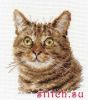 A19B17C6-5BD9-4267-86F9-2AF4AC63B447.thumb.jpeg.de282e2062a21c3e50b7df8c5ce76fdc.jpeg