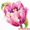 D9AEC015-029D-4A2F-85F6-9731419EB282.thumb.jpeg.b263e2ab751d31a69a50d5d39b7cb3be.jpeg