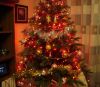 DSC04713.thumb.JPG.157ed0c51bcab71b845b9f09beeaf34a.JPG