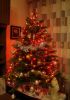 DSC04714.thumb.JPG.e55a35aed0376b26c183bb04f4b0622b.JPG
