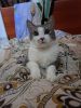 IMG-20220826-WA0001.thumb.jpg.c23d0ec05084f504c9a2f9c5e9fa7e11.jpg