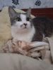 IMG-20220827-WA0004.thumb.jpg.97219760c897d686a6efbf5978c86360.jpg