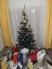IMG-20230101-WA0004.thumb.jpg.f2877d56cb971b5b975a562e4ce806b0.jpg