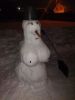 IMG-20230101-WA0010.thumb.jpg.377e9f03feb7456c27610785d4e07fa6.jpg