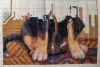IMG-20230102-WA0000.jpg