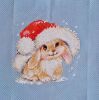 IMG-20230105-WA0002.jpg