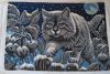 IMG-20230106-WA0010.jpg.352665a0dd4c0205c9e6ad6d76dd244a.jpg
