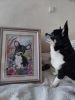 IMG-20230108-WA0007.thumb.jpg.61e371e028ac0775954da7b628f29027.jpg