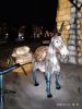 IMG-20230111-WA0035.thumb.jpg.1a8fa226abe2aee150d7421d5cced2a5.jpg