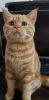 IMG-20230113-WA0015.thumb.jpg.1004fa422609fbd2ca0399bcdf90a28b.jpg