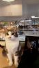 IMG-20230124-WA0002.thumb.jpg.de89787f825e21be3f45e0d1a9721bc5.jpg