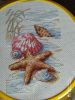 IMG_20221123_143816_compress34.thumb.jpg.5cac65fa9e3254cdce2813e2019e3089.jpg
