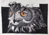 IMG_20221209_125730.thumb.jpg.dd80803fb628dca464e121105d44f4d0.jpg