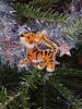 IMG_20221229_190036.thumb.jpg.72871c9cb7f29999699ad31711bcc02e.jpg