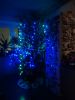 IMG_20221230_234256.thumb.jpg.cd5638ebacec2c2c778fc732843a4cab.jpg