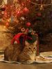 IMG_20221231_185214.thumb.jpg.a5a043f043efbb5013dada5cbd132eaa.jpg