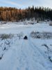 IMG_20230102_152045.thumb.jpg.42fc9f625cb68cf4be3773f281ab10b0.jpg
