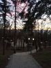 IMG_20230102_164546.thumb.jpg.f1b85cc463db61f02218758fd8292465.jpg