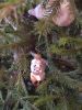 IMG_20230104_121639.thumb.jpg.45e529175baad517940d5660e1a0d881.jpg