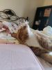 IMG_20230107_085131.thumb.jpg.541b17427d681db6b30d251eee81d33c.jpg
