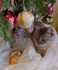 IMG_20230108_223435.jpg