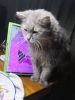 IMG_20230110_031226.thumb.jpg.e1e4cc9caacb2a7ab4dd2babddf48002.jpg