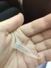 IMG_20230113_190748.thumb.jpg.773c1bab5386f98cf7ebc54a55d41750.jpg