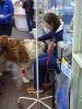 IMG_20230117_114532.thumb.jpg.75cced61a1b60eba174915c261c6deeb.jpg