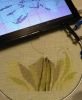 IMG_20230118_223127.thumb.jpg.cc8ee9c2c258fc174ea0d2e89fe27bd3.jpg