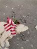 IMG_20230120_170336.thumb.jpg.050eccbce48467981094141e4458ef82.jpg