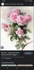 Screenshot_20230121-164945_Chrome.thumb.jpg.e418e86fd9179ec911b25e905d168b64.jpg