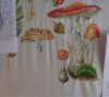 Toadstools4.JPG.d09c6f8321c8afde645179db3866127b.thumb.jpeg.6708bf670e25c430db8b328ab4ea52f3.jpeg