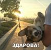 bd5f1d93fb5cee29f9929fc402246db8.thumb.jpg.c503f29c75a79f05cd9e45477847e5f2.jpg