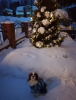 image.thumb.png.2efd4abfc3639e0e691cfc6994a417ef.png