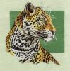 j-0664_leopard.thumb.jpg.fff95a5a0c0664b4eed6d996c4cf16a6.jpg