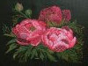 peonies_8.thumb.jpg.ce3d33a095b9f0bb2c0f2d91fb0bcea3.jpg?1672709102297