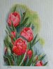 tulips_8.thumb.jpg.1896f7aa476b60e5561d87ecd8cd03ef.jpg
