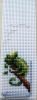 1.thumb.jpg.02de72f245cc588313a346ecde628311.jpg