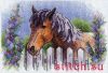 10217.thumb.jpg.aee52dddbb53ce93ee882a4d7676ebfd.jpg