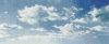 1056047464_1.thumb.jpg.c3da8376bedc0e2084341099b75ad19c.jpg