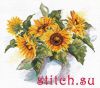 10666.thumb.jpg.de5d895c0f140bbd2eecd98a8dd242ef.jpg
