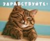 1e6d34febd56c74dad3237e2371c835a.thumb.jpg.6c518a77c59aed0287dd964cc00be1d2.jpg