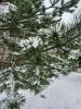 20230202_134536.thumb.jpg.b7d0acb53cf6cc6f0fd48f7bf02cbcfa.jpg