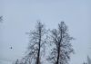 20230203_135348.thumb.jpg.2c7b510a4b4b010f55b2cc02ba6f6ef9.jpg
