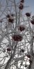 20230205_110526.thumb.jpg.79e80ed69ee4a225a24b6da70abfb396.jpg